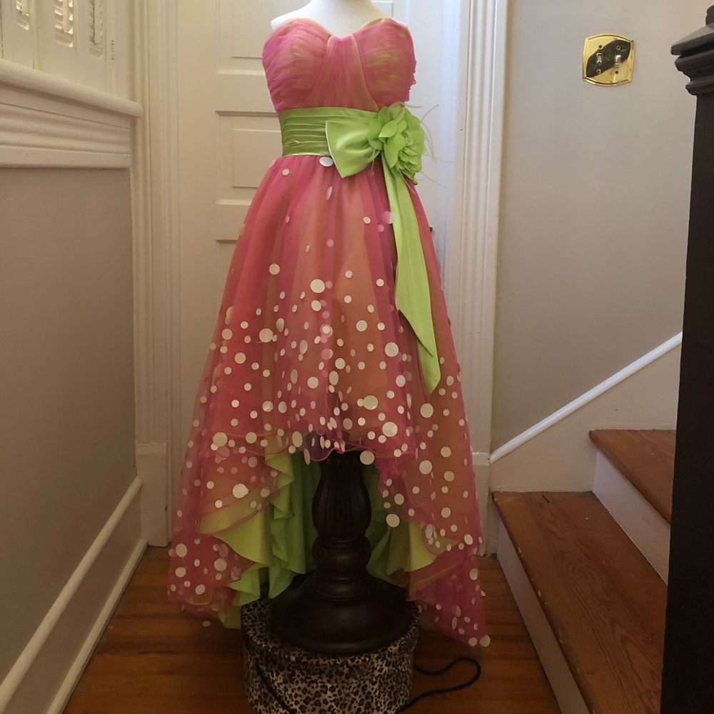 Evening Gown/Prom Dress